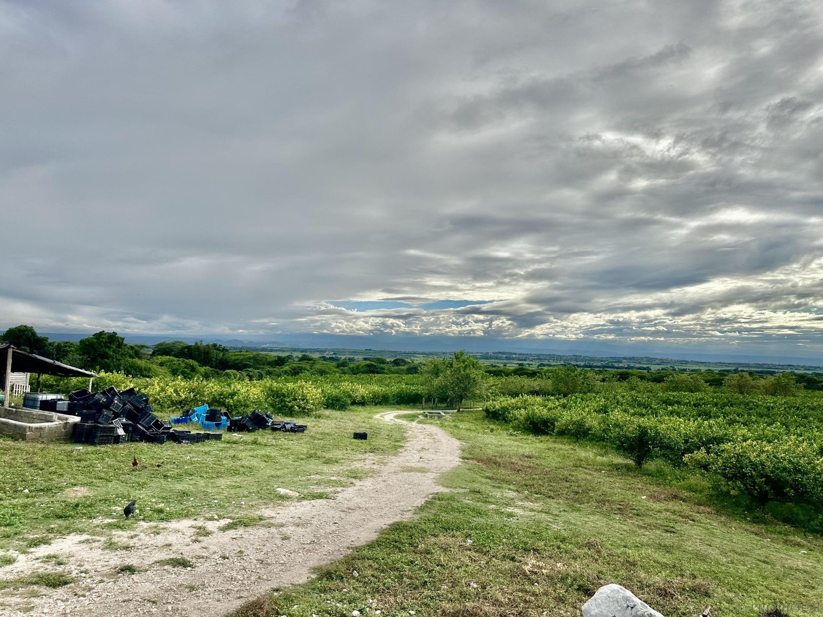 ae-2e55446e21e2e6836fdb2e1203379779