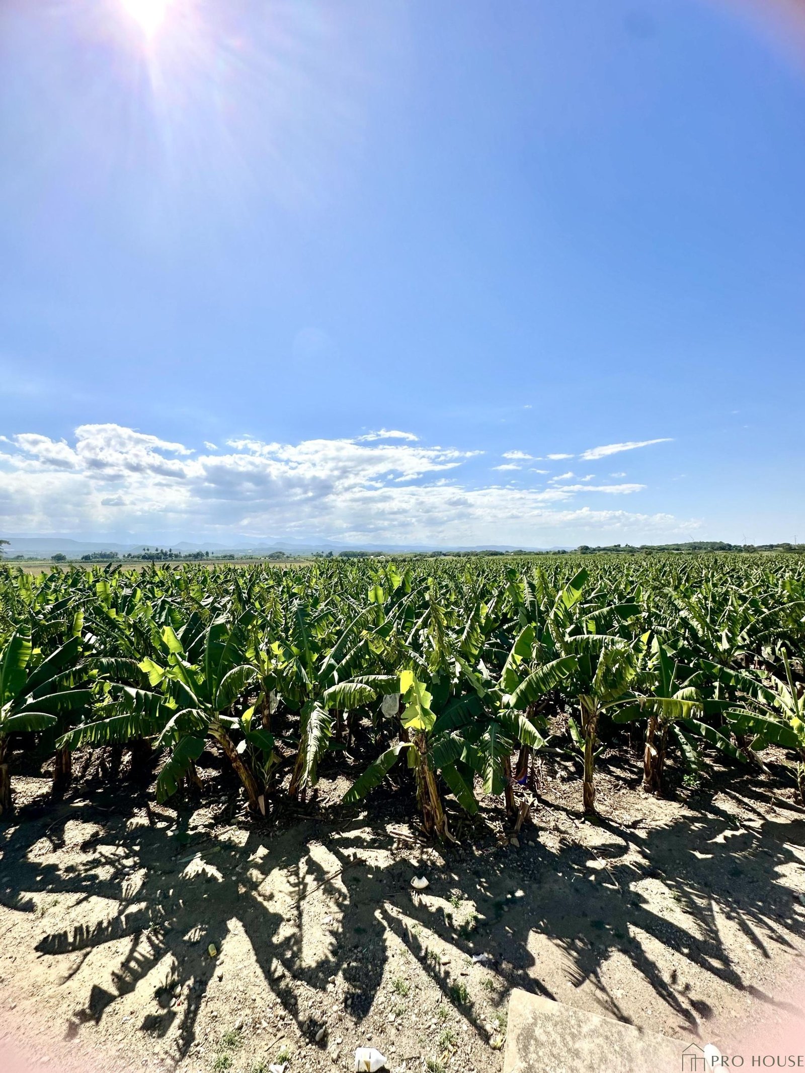 ae-83c4e0b7553c3eacd3d8258edf403a87